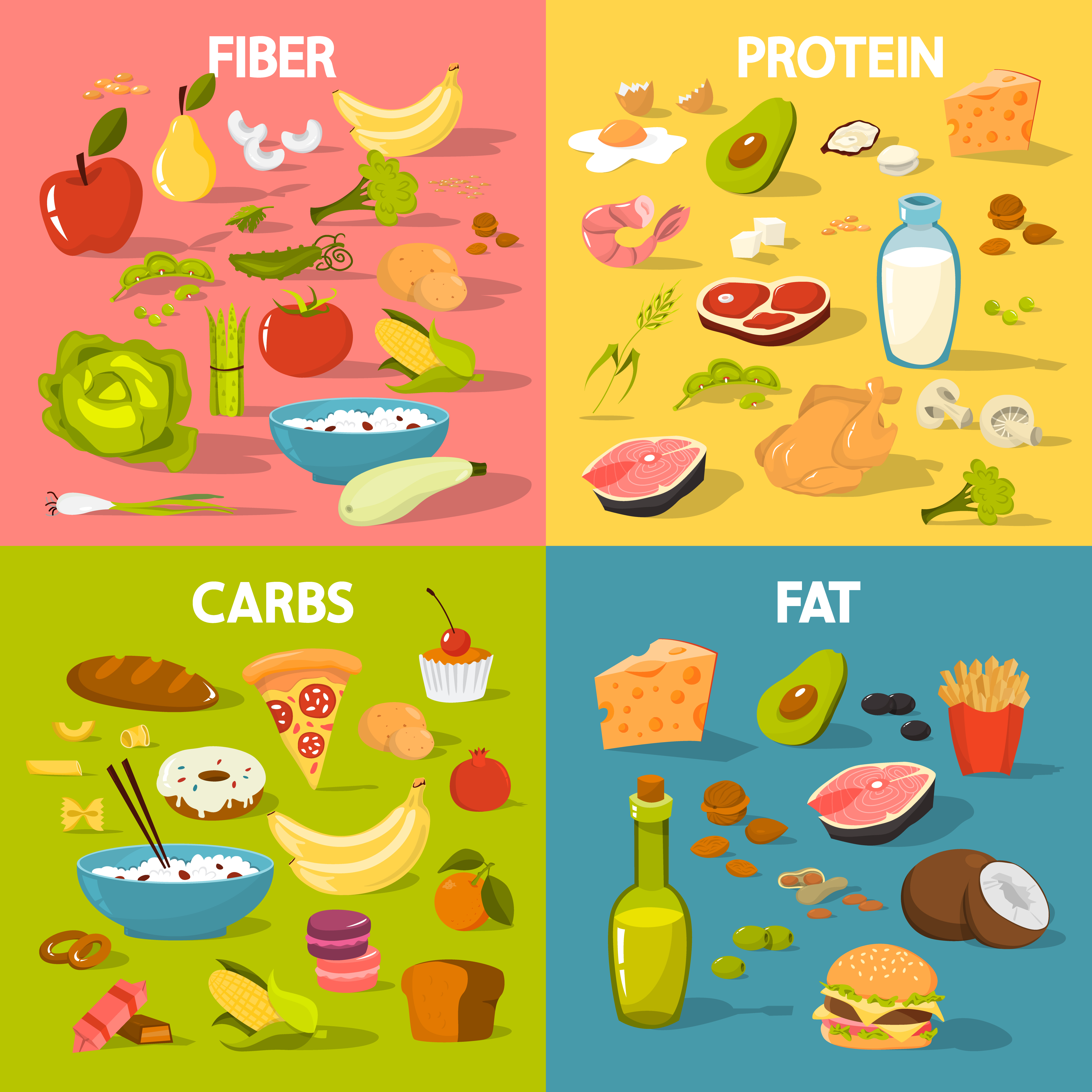 Eat Well Guide, showing four sections for Fiber (including fruit, rice, vegetables and potatoes), Protein (including chicken, milk, cheese, avocado, mushrooms, eggs, meat, and brocoli), Carbs (including bread, rice, cake, pizza, macarons, pasta, pretzels, potatoes, and tomatoes), and Fat (including cheese, oil, chips, burgers, coconuts, meat, avocado, nuts, and a burger). 