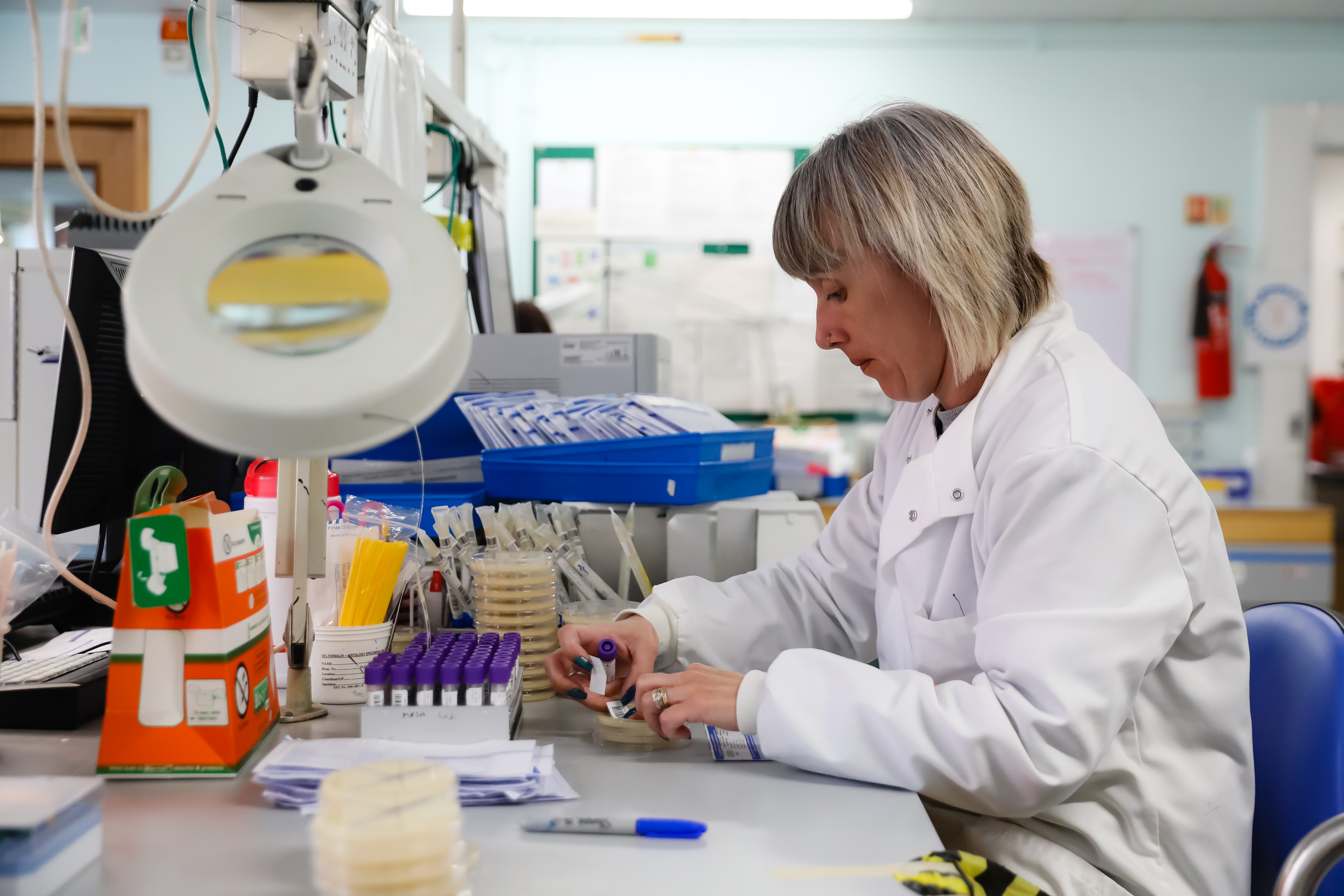 A Morecambe Bay NHS colleague in a white lab coat sat at a desk with lab equipment including test tubes and petri dishes