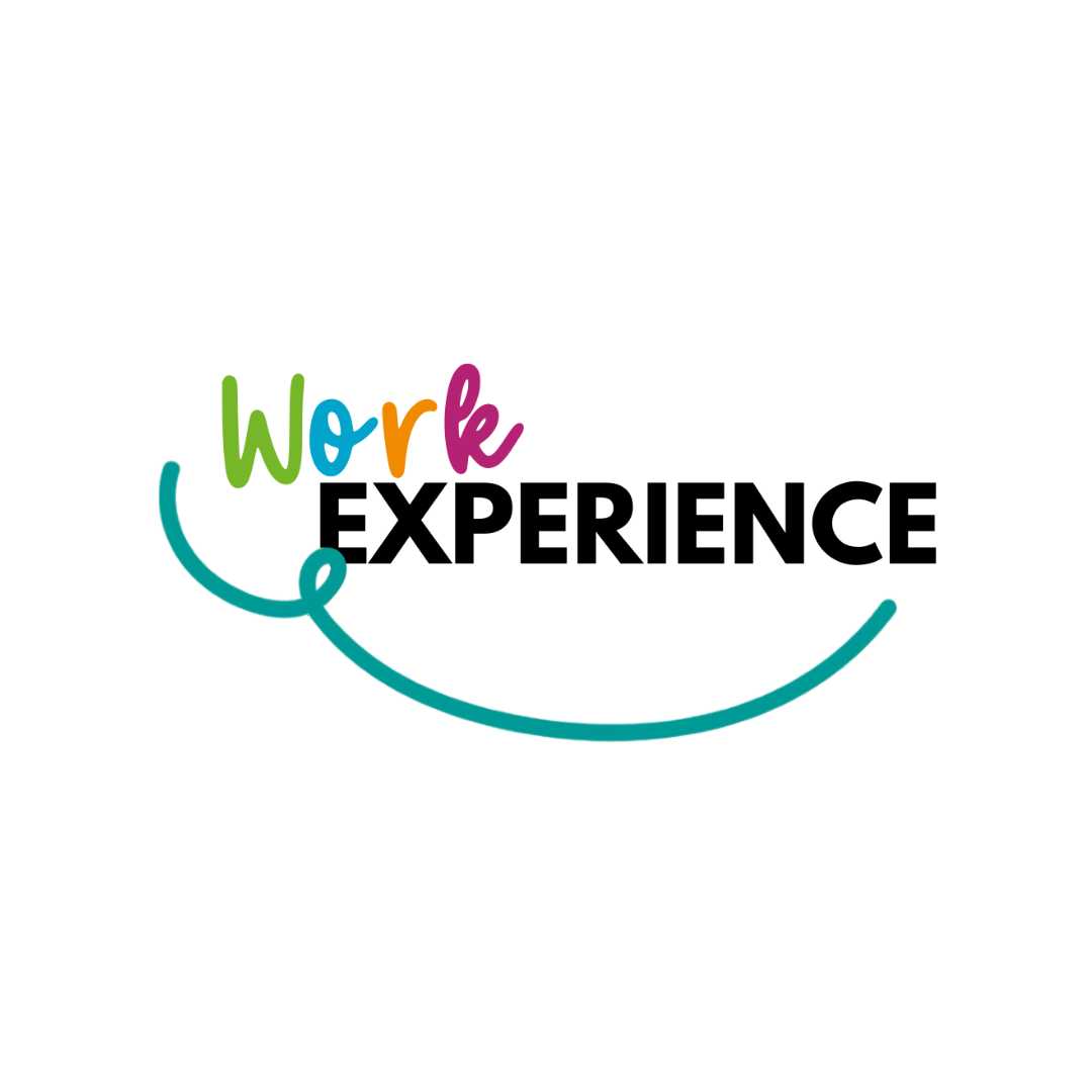 Logo that reads 'work experience' in colourful letters with a blue swirl underneath