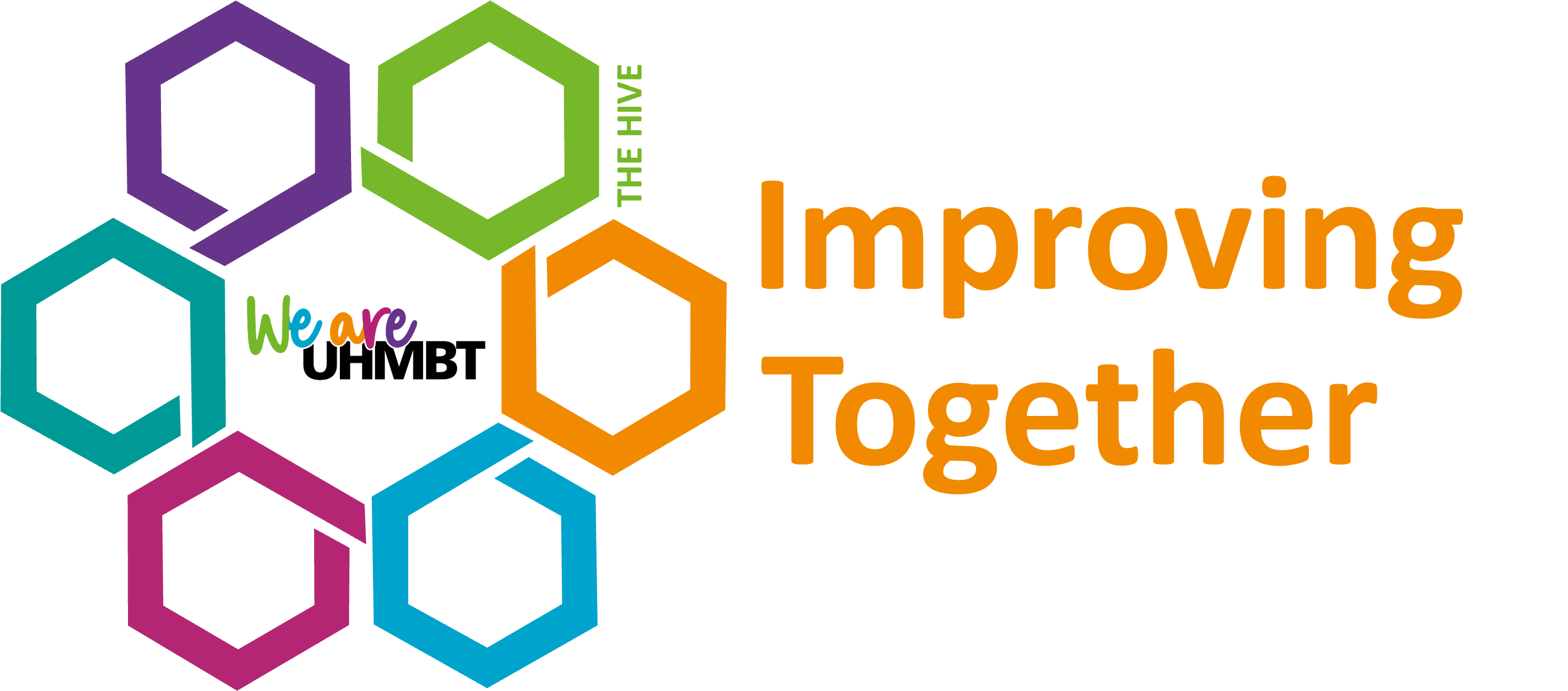 Hive transformation programme banner logo