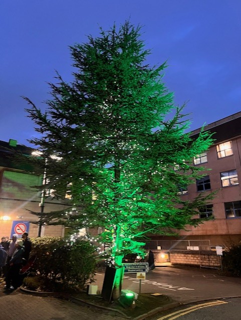 RLI Christmas Lights ID 2.jpg