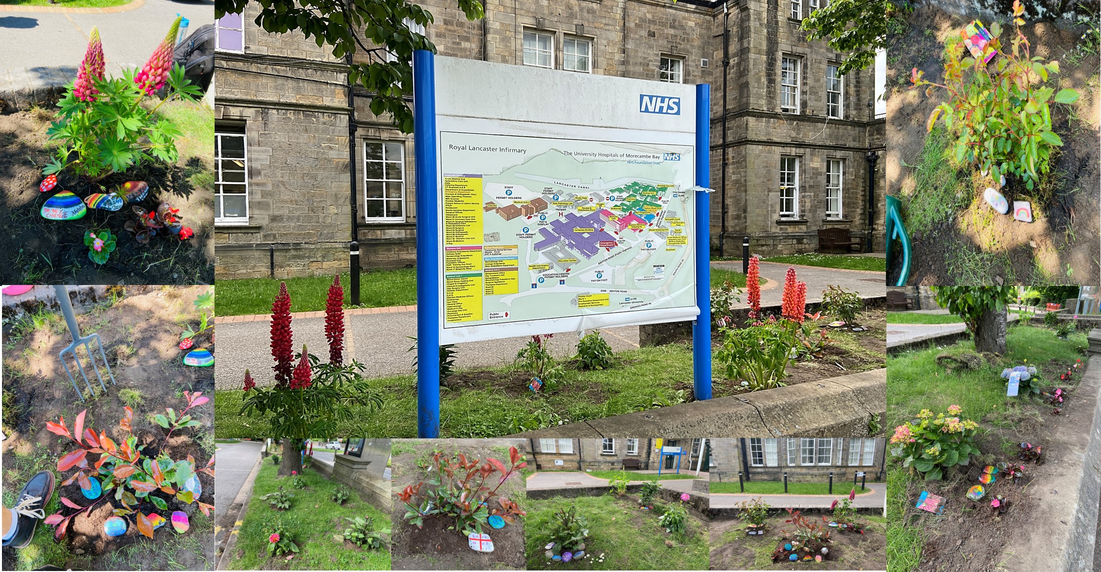 Lancaster and Morecambe Hindu Society flowers planted at RLI Med Unit 1.jpg