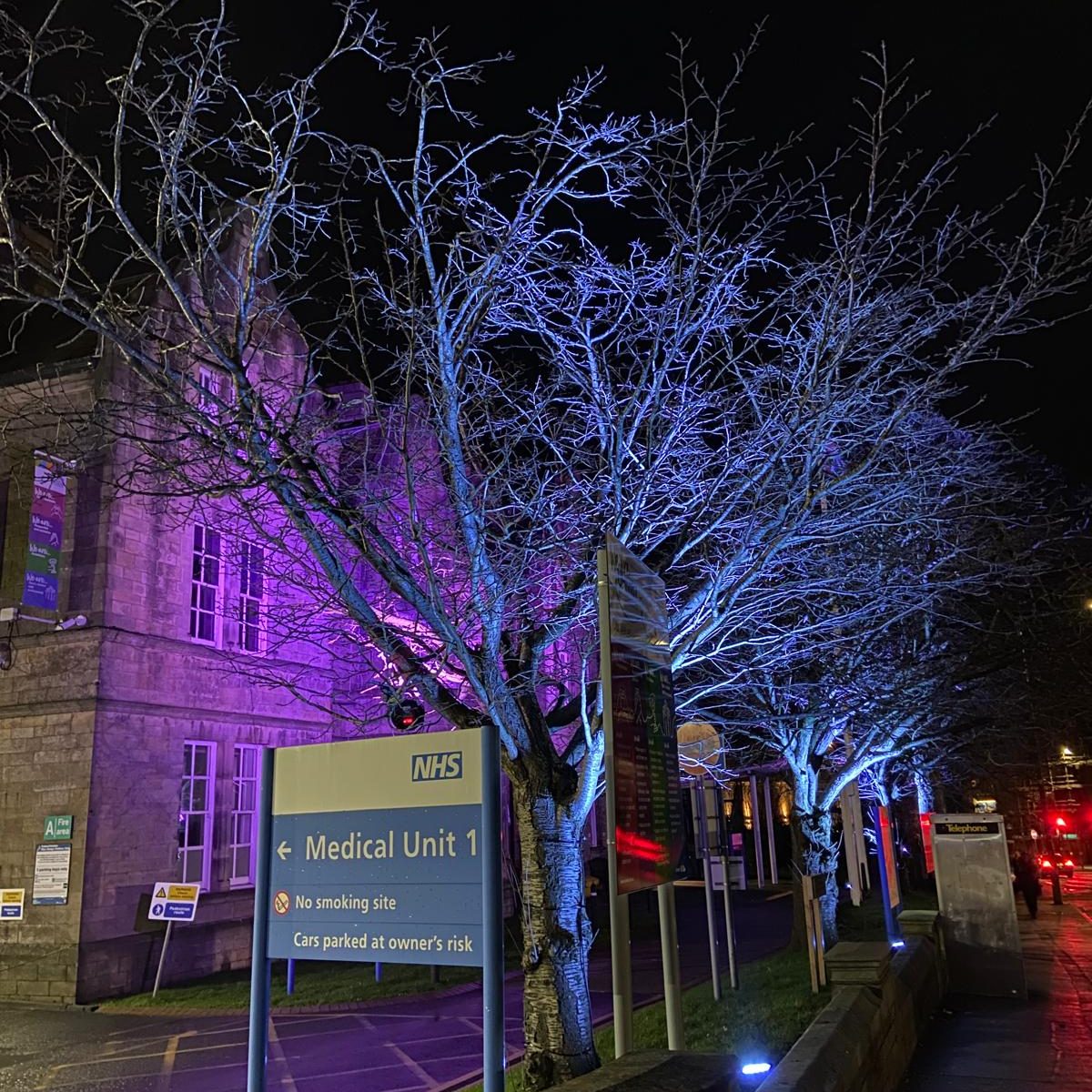 RLI Christmas lights 2025 5.jpg