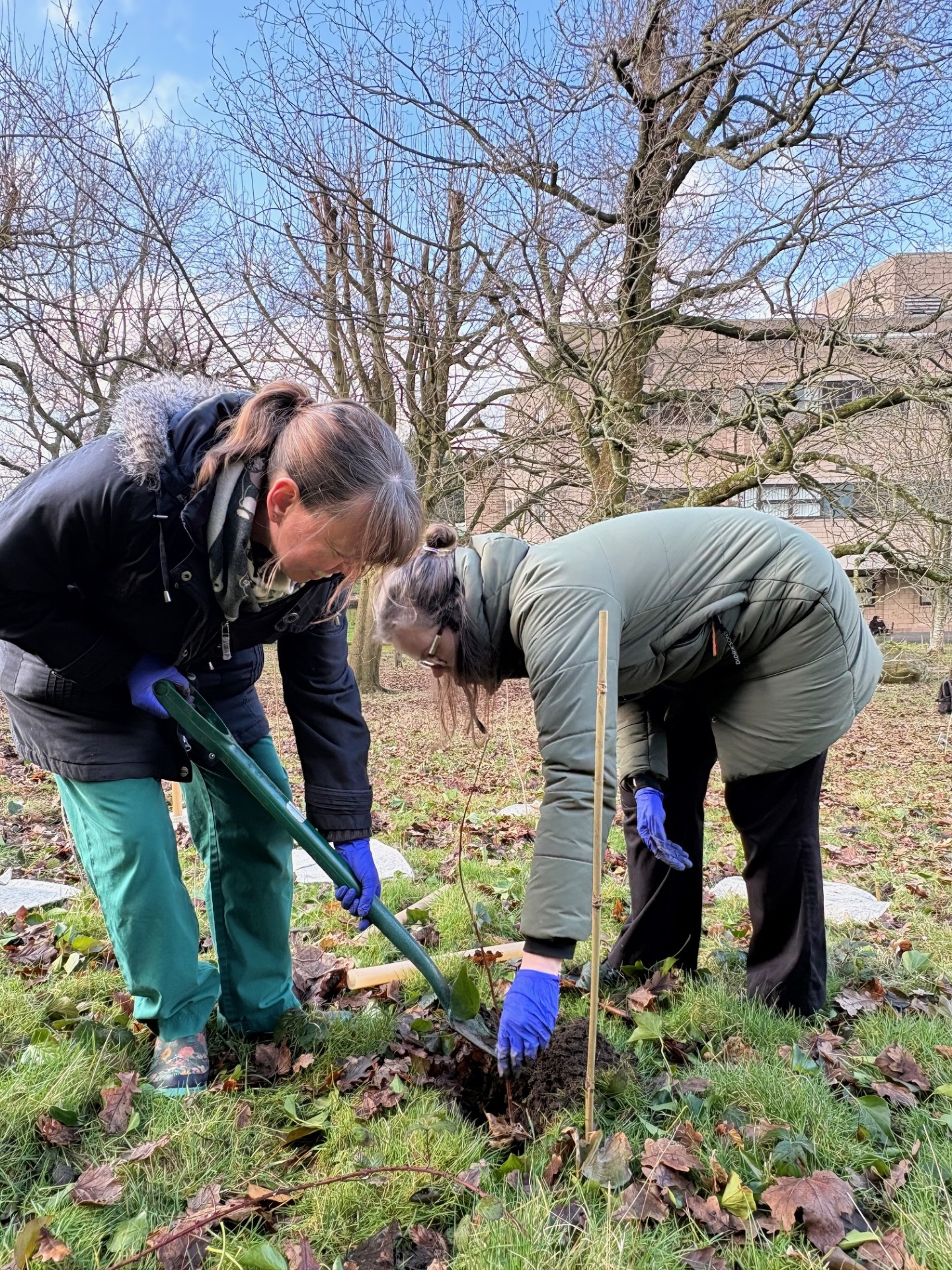 Tree planting RLI 2026 4.jpg