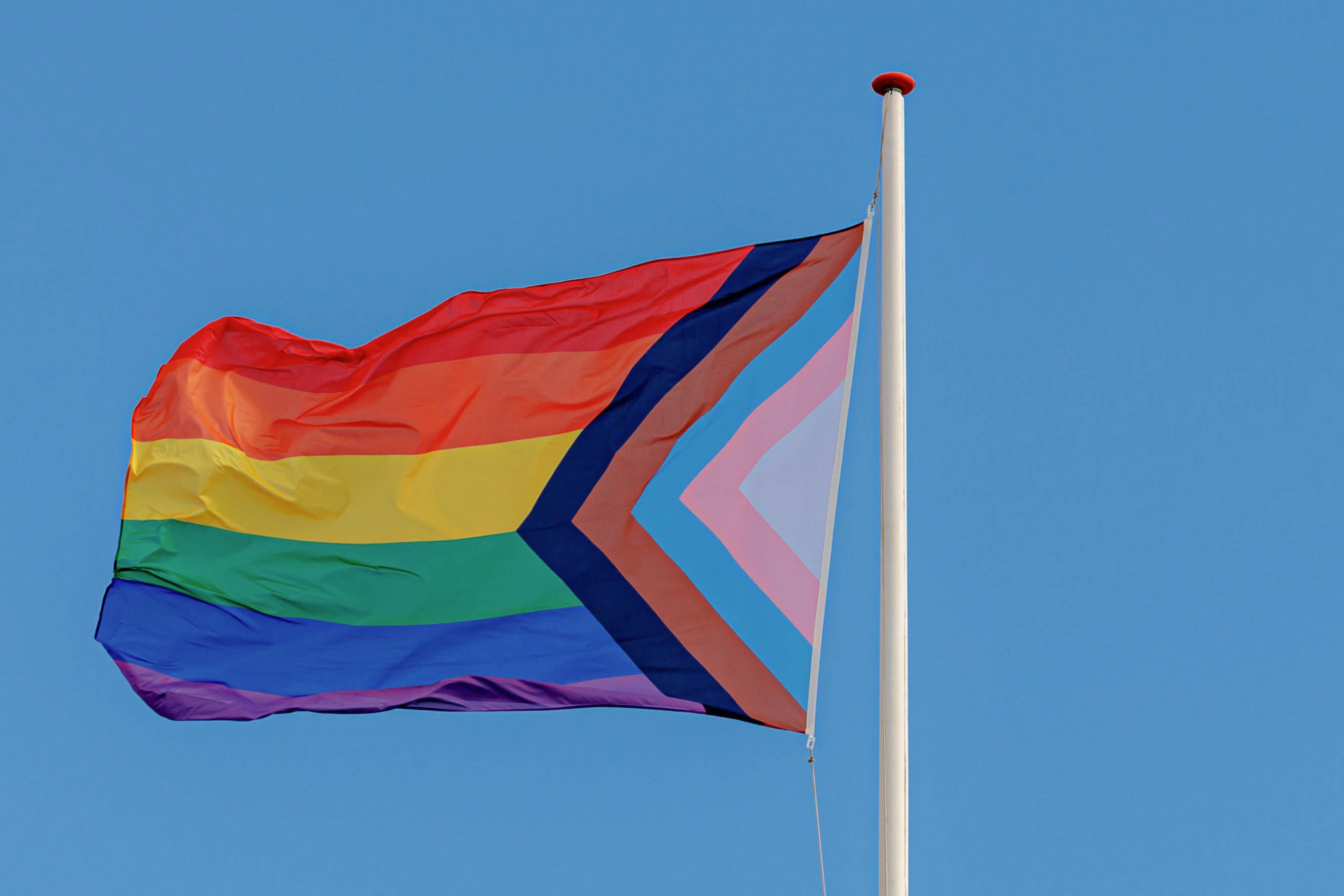 Diversity Pride Flag.jpg