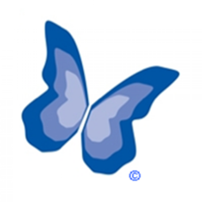Butterfly Scheme logo.png